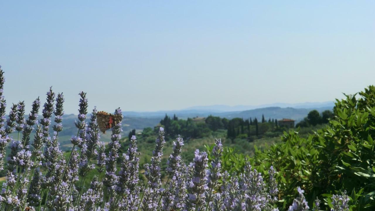 Appartamenti Ava E Tegrino Nell'Antica Dimora Di Fulignano San Gimignano Eksteriør bilde