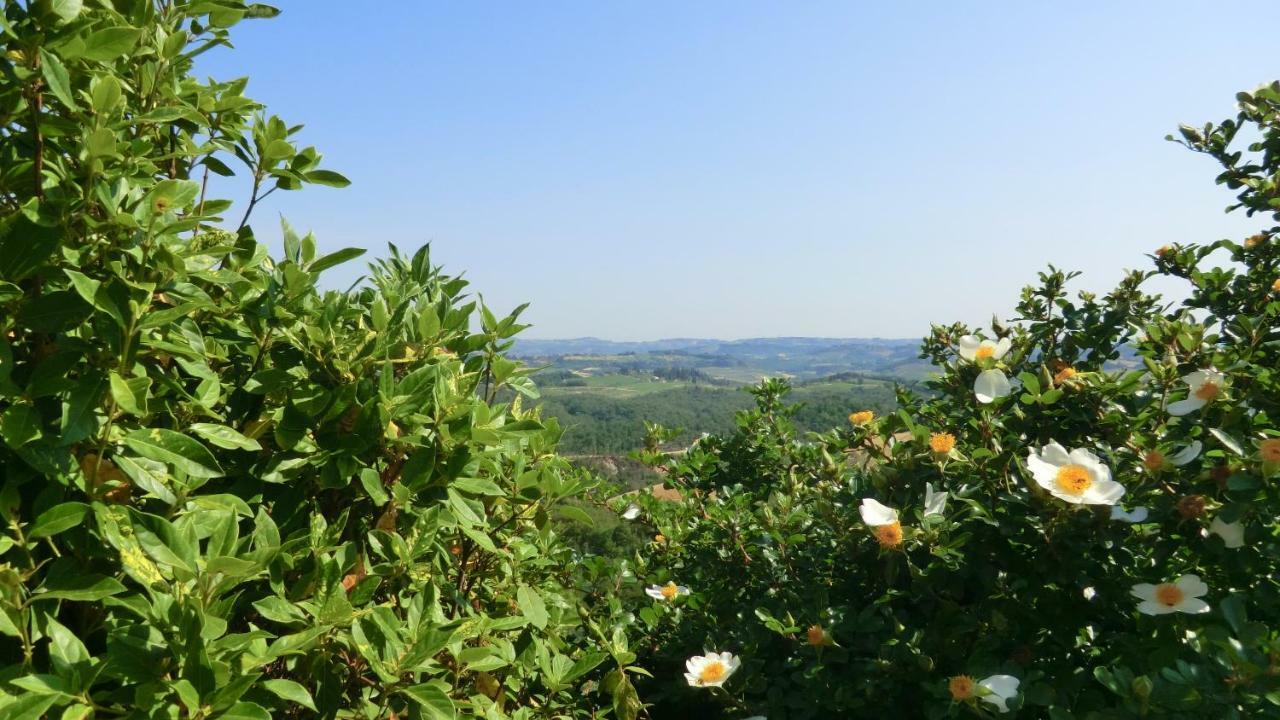 Appartamenti Ava E Tegrino Nell'Antica Dimora Di Fulignano San Gimignano Eksteriør bilde