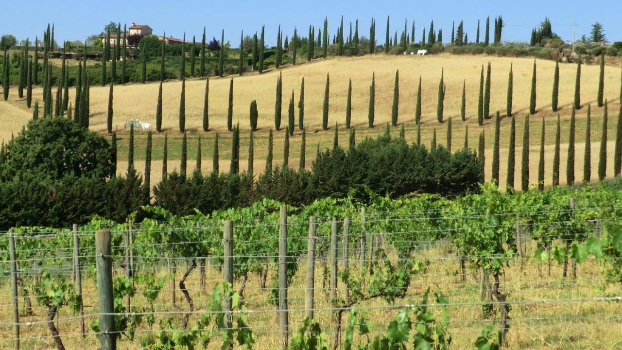 Appartamenti Ava E Tegrino Nell'Antica Dimora Di Fulignano San Gimignano Eksteriør bilde