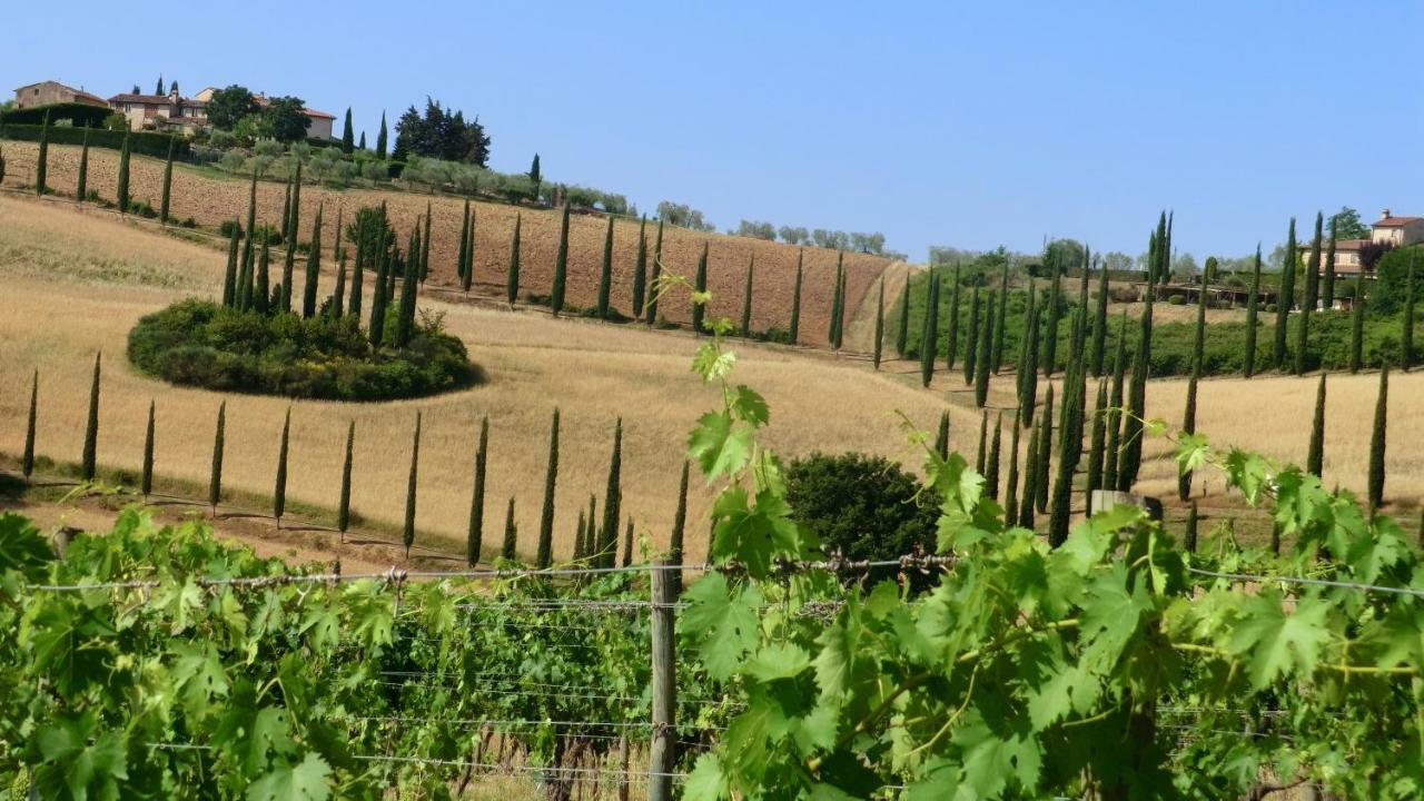 Appartamenti Ava E Tegrino Nell'Antica Dimora Di Fulignano San Gimignano Eksteriør bilde